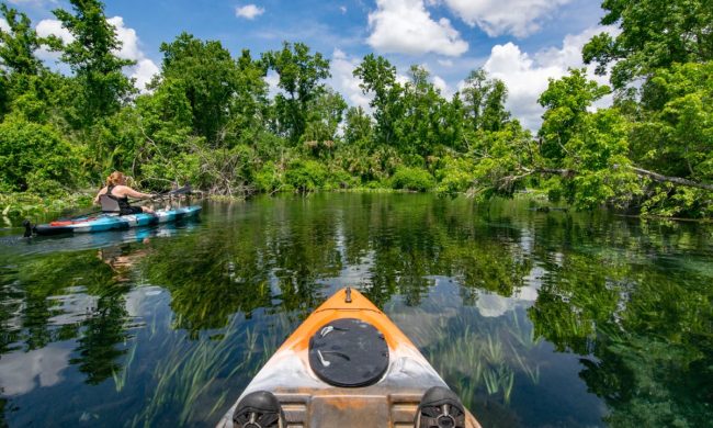 A first-person view of an individual kayaking in Ocala National Forest
